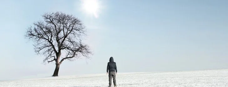 Seeing the light in a barren land. Time to grow and flourish