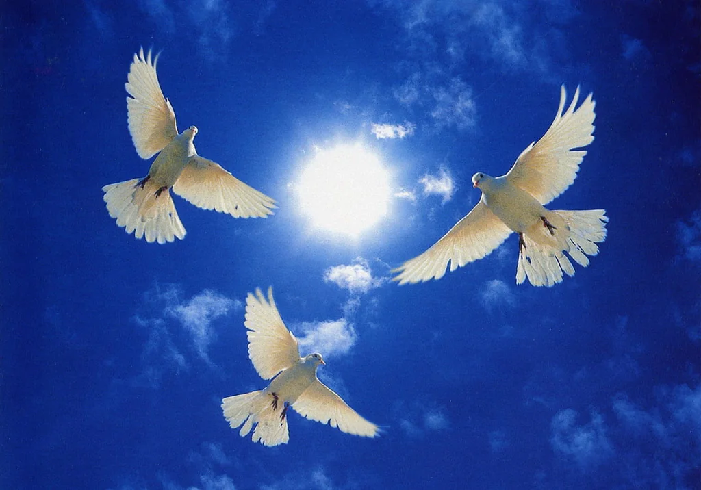 Three white doves flying around the sun in a blue sky